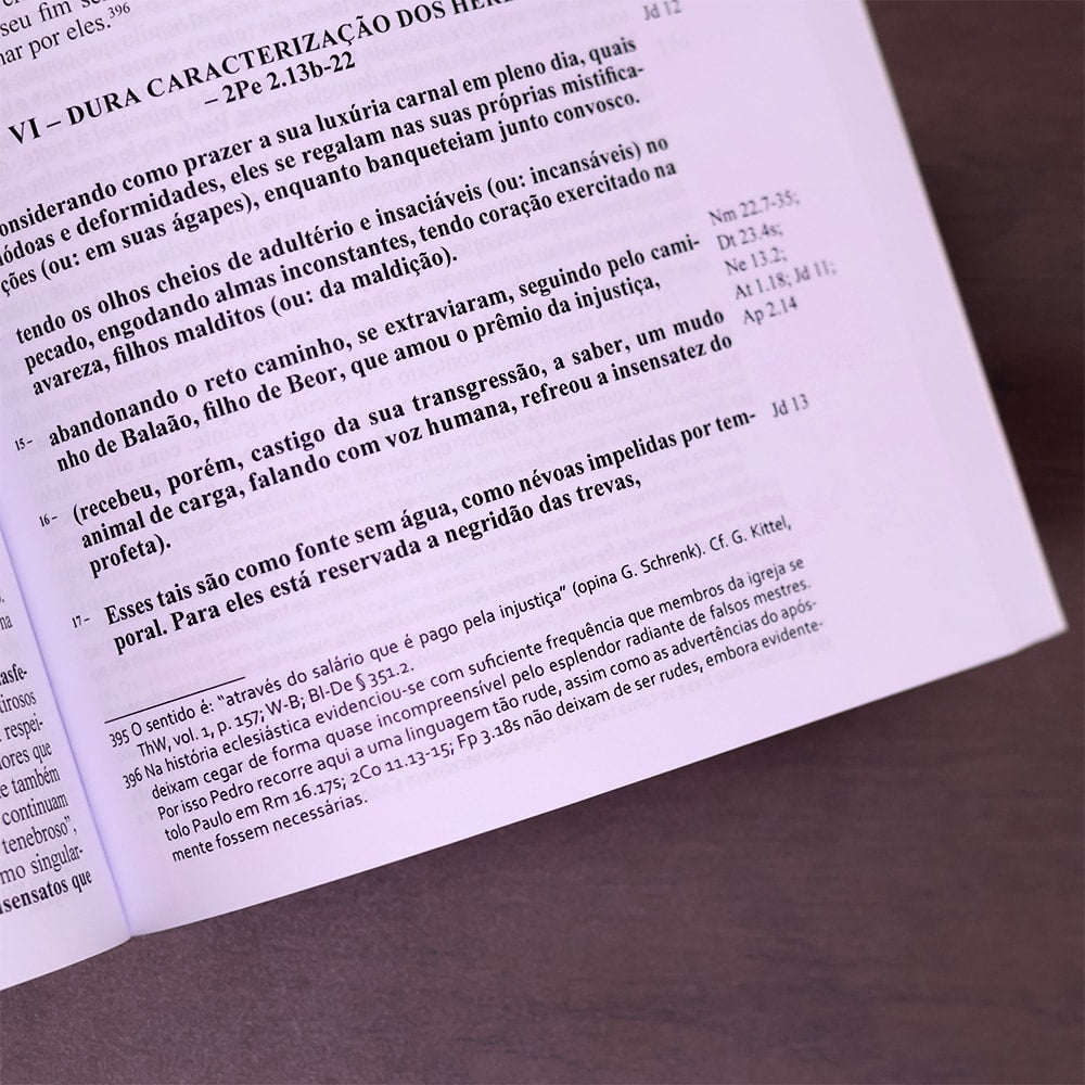 Comentário de Apocalipse de João 2  | Adolf Pohl