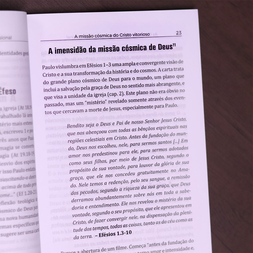 As Cartas de Paulo | Volume 2  | Timóteo Carriker