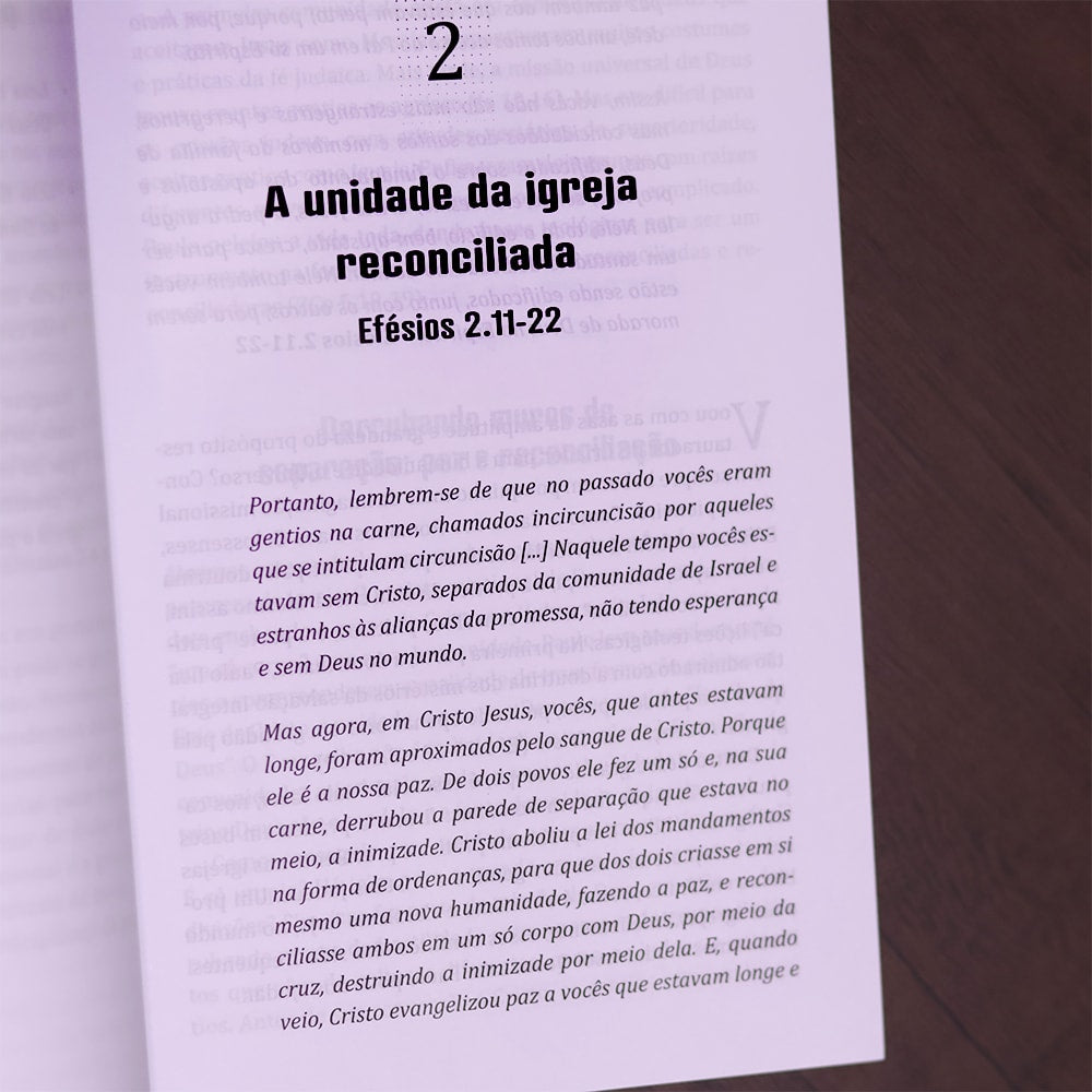 As Cartas de Paulo | Volume 2  | Timóteo Carriker