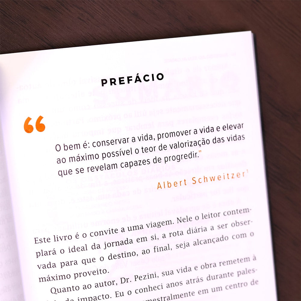 Sucesso Ao Seu Alcance  | José Carlos Pezini
