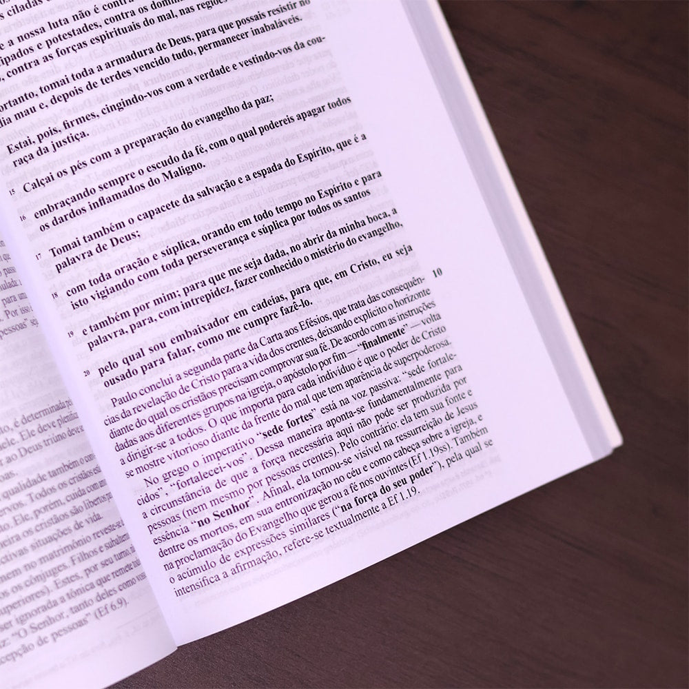 Comentário aos Efésios, Filipenses e Colossenses |  Fritz Rienecker
