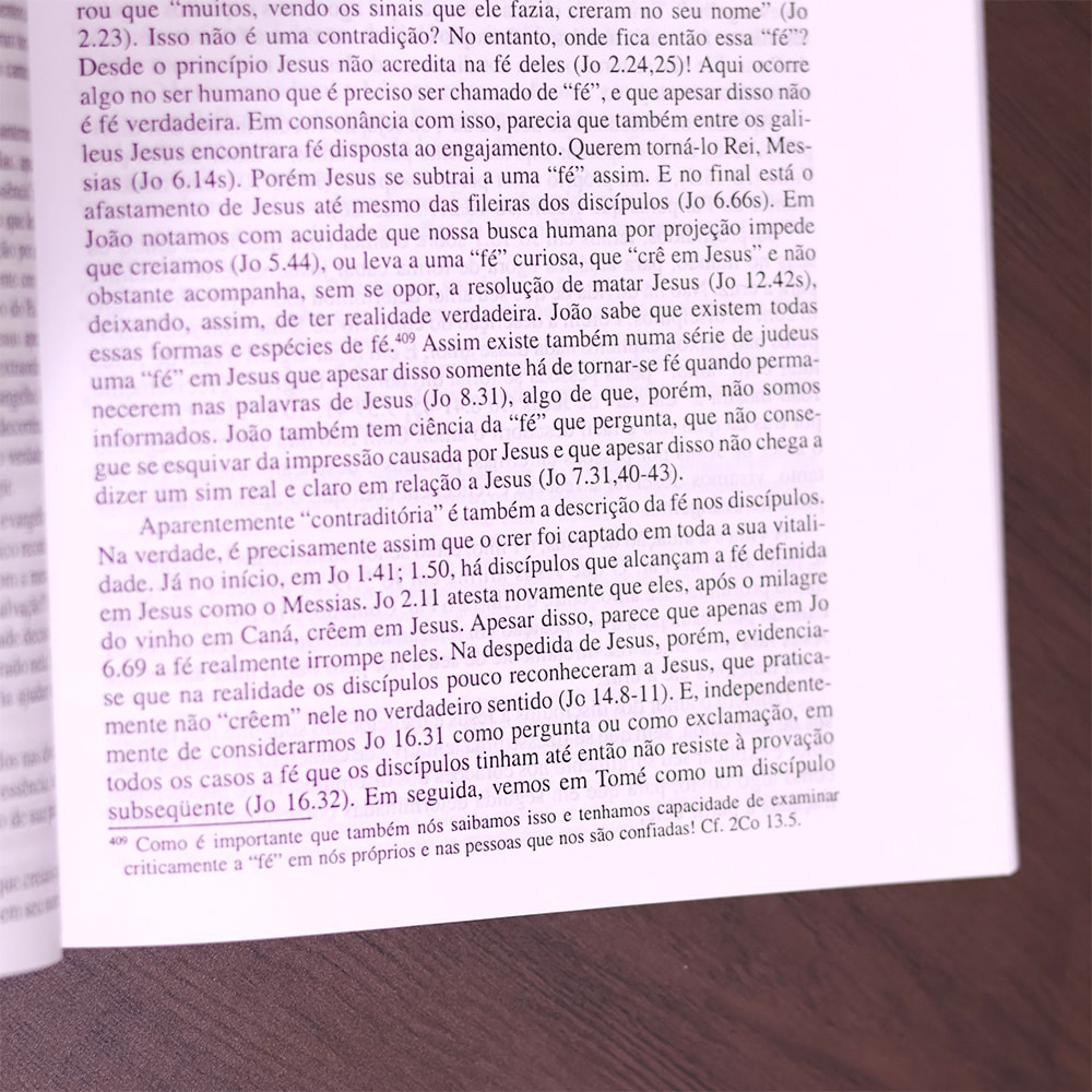 Evangelho de João II |  Werner de Boor
