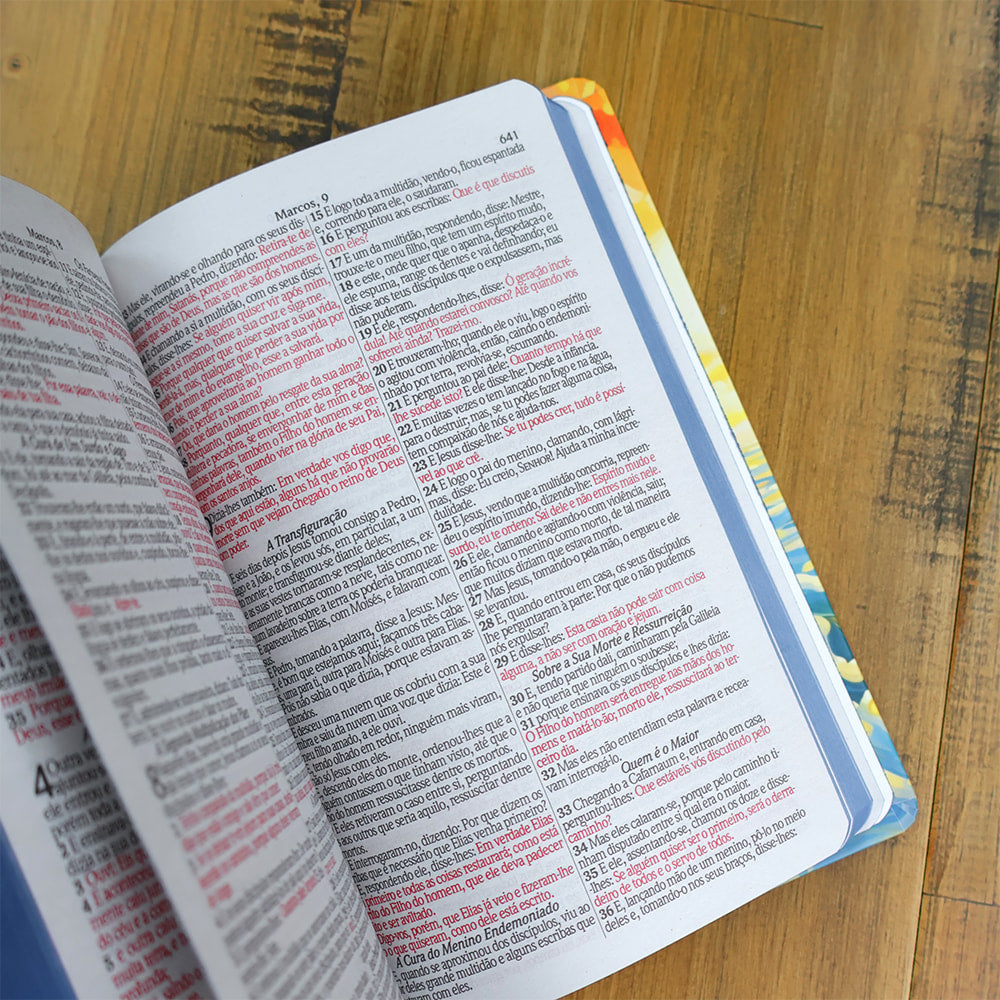 Bíblia Leão Sunset | ARC | Letra Grande | Capa Dura | Harpa Avivada e Corinhos