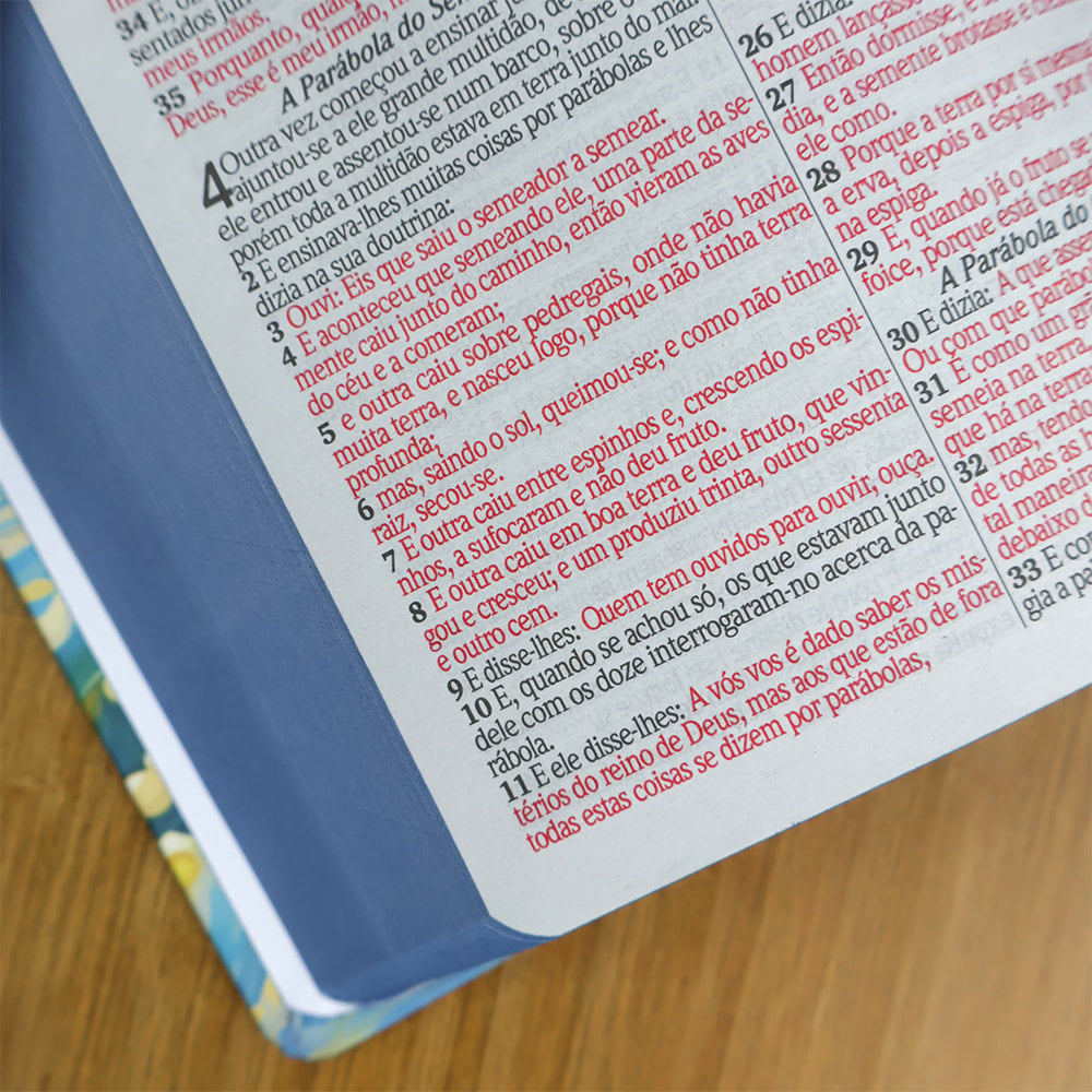 Bíblia Leão Sunset | ARC | Letra Grande | Capa Dura | Harpa Avivada e Corinhos