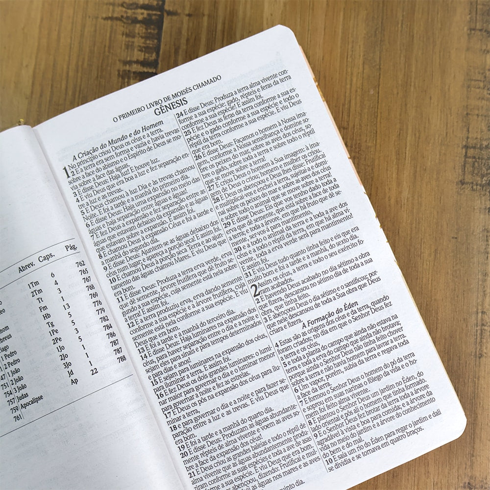 Bíblia Sagrada Folhagens Rosa| ARC | Letra Gigante | Capa Dura | Harpa Avivada e Corinhos