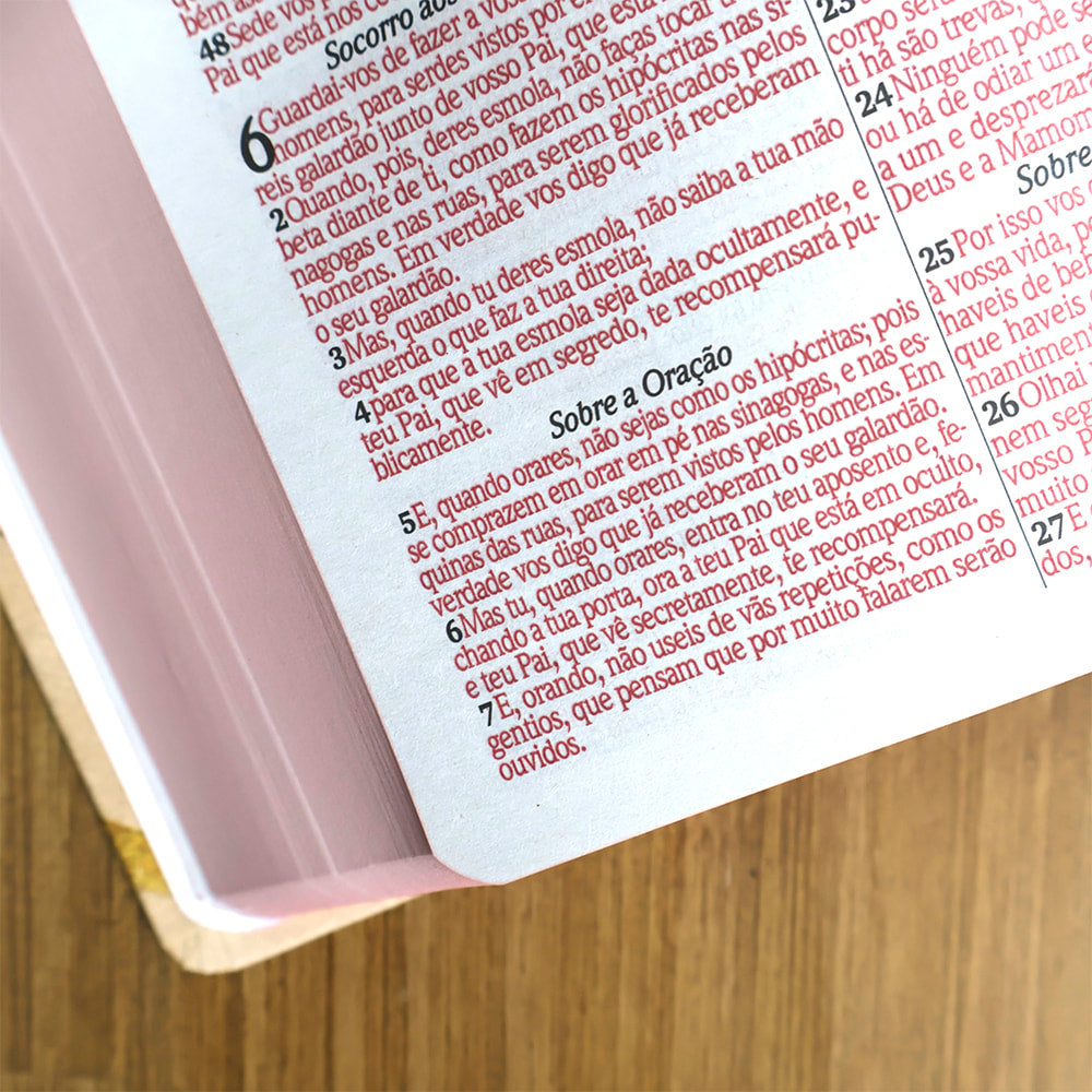 Bíblia Sagrada Folhagens Rosa| ARC | Letra Gigante | Capa Dura | Harpa Avivada e Corinhos