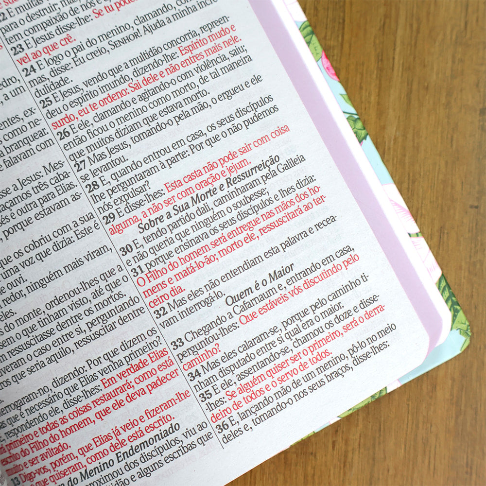 Bíblia Sagrada Jardim Pássaro | ARC | Letra Grande | Capa Dura | Harpa Avivada e Corinhos