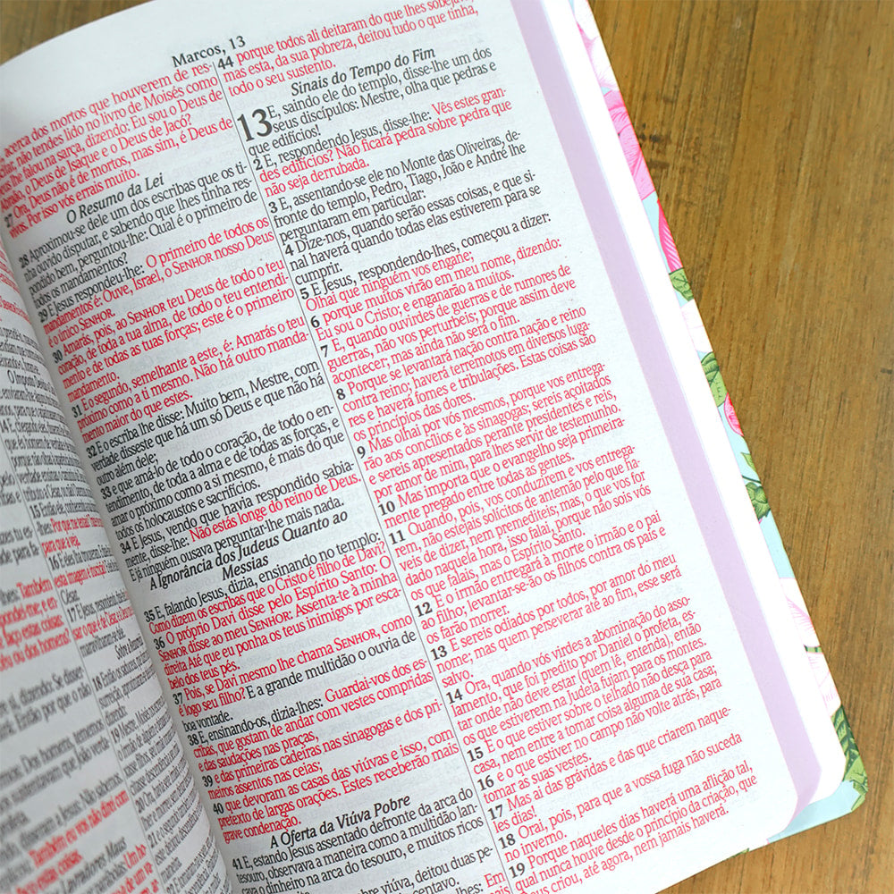 Bíblia Sagrada Jardim Pássaro | ARC | Letra Grande | Capa Dura | Harpa Avivada e Corinhos