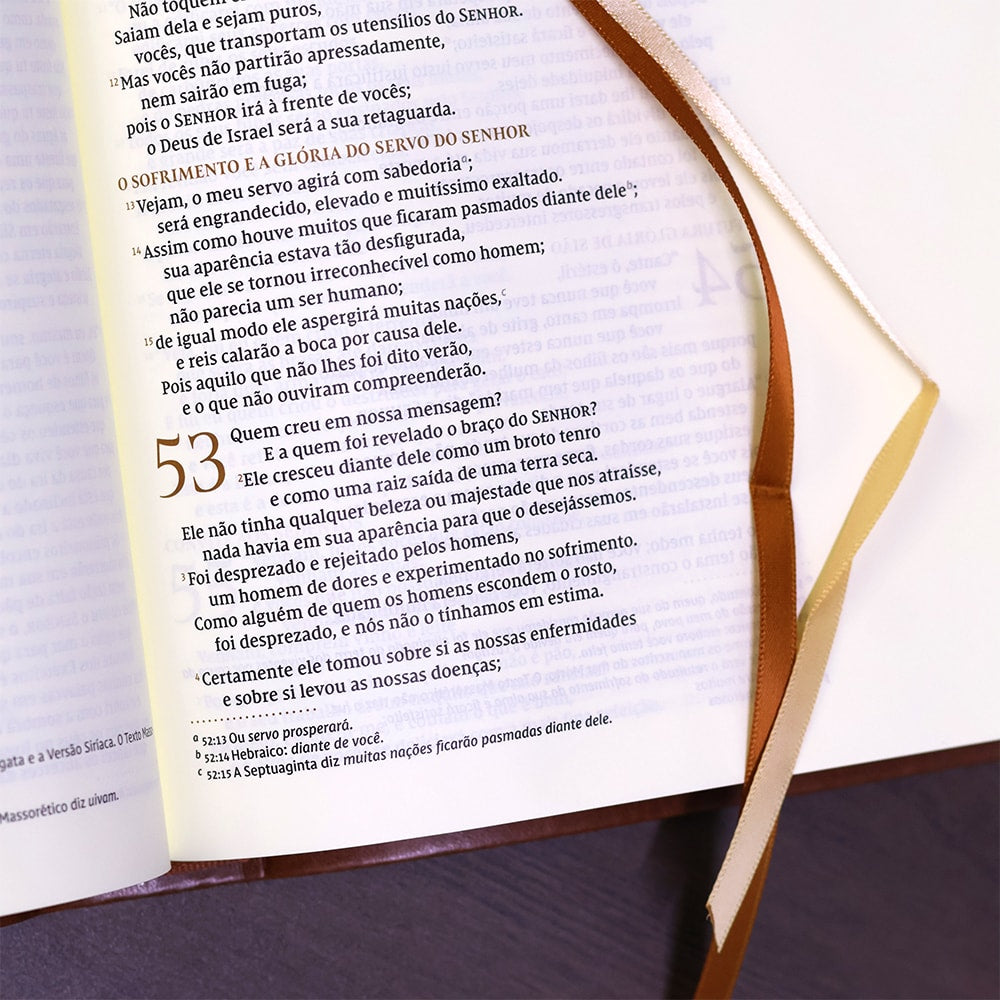 Bíblia Bible Journaling | NVI | Letra Normal | Courosoft Marrom 