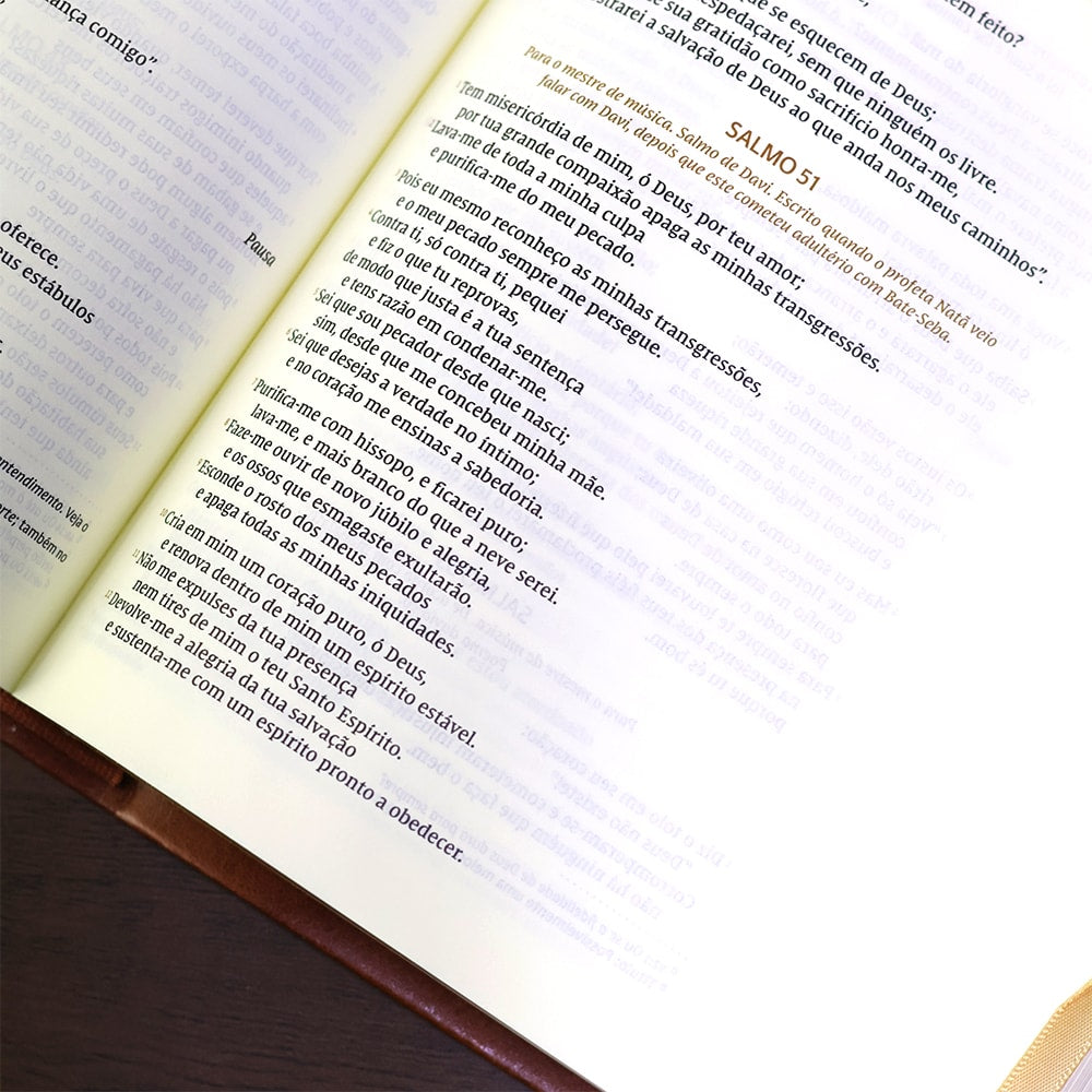 Bíblia Bible Journaling | NVI | Letra Normal | Courosoft Marrom 