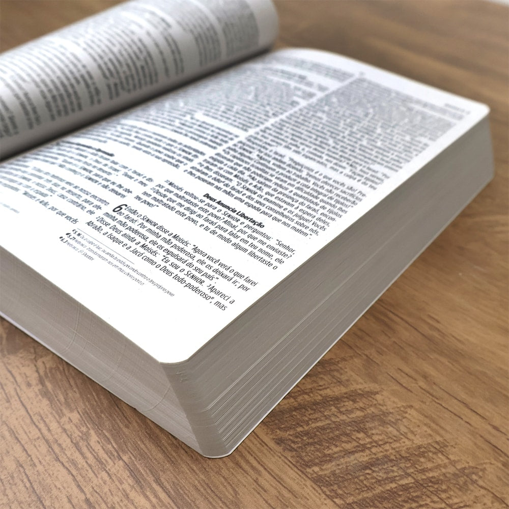 Bíblia Sagrada Lettering | NVI | Letra Normal | Capa Brochura