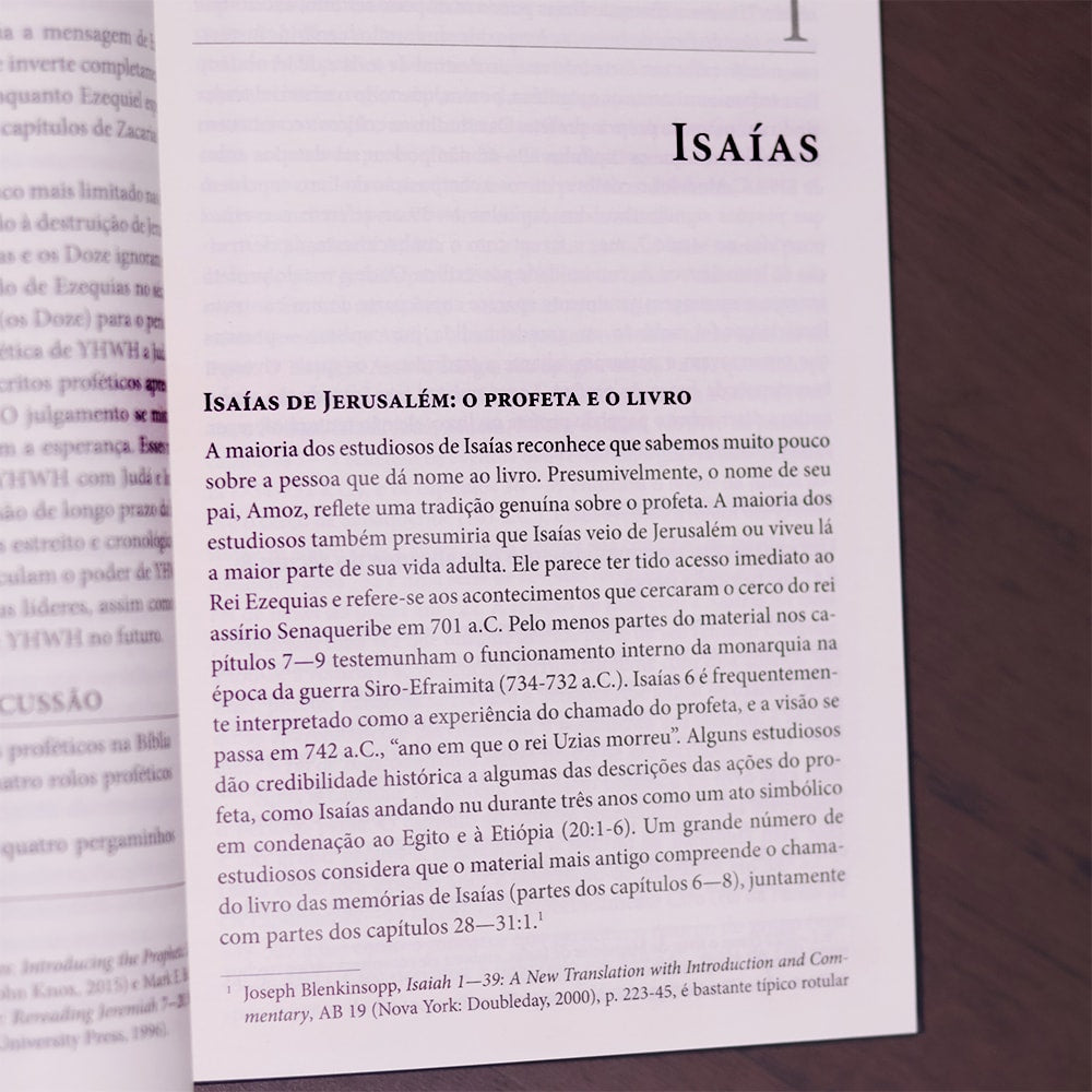 Introdução Aos Profetas Hebreus | James Nogalski