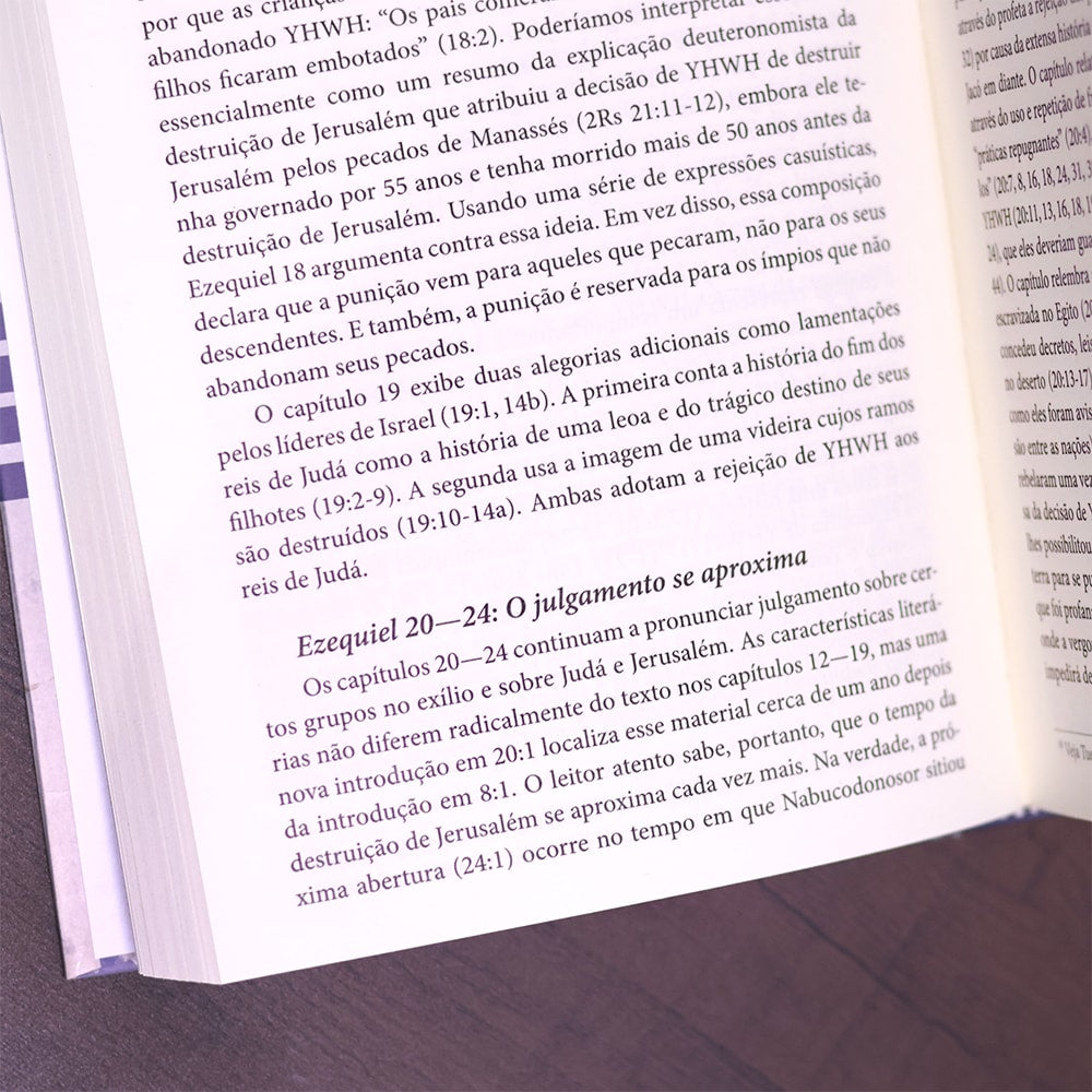 Introdução Aos Profetas Hebreus | James Nogalski