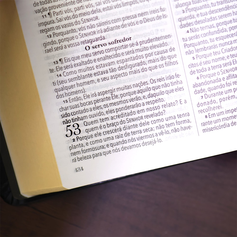 Bíblia King James 1611 | Fiel | Ultrafina Duotone