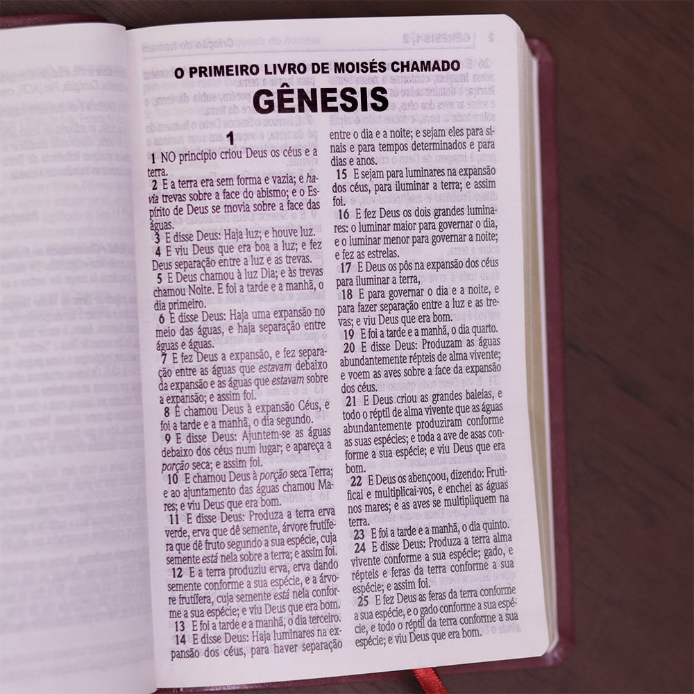 Bíblia Sagrada| ACF | Letra Gigante | Capa Luxo Vinho