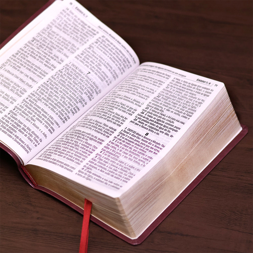 Bíblia Sagrada| ACF | Letra Gigante | Capa Luxo Vinho