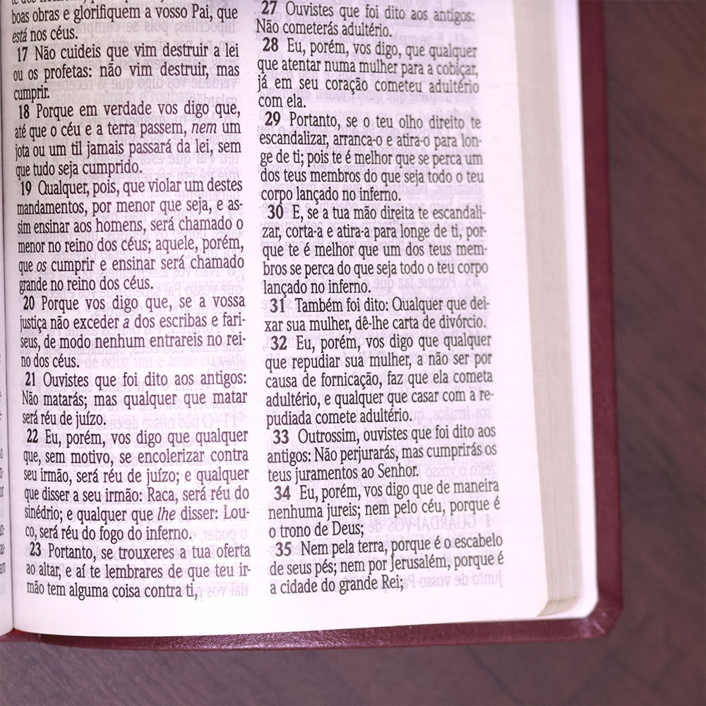 Bíblia Sagrada| ACF | Letra Gigante | Capa Luxo Vinho