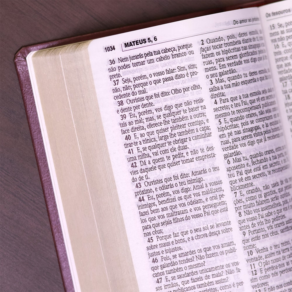 Bíblia Sagrada| ACF | Letra Gigante | Capa Luxo Vinho