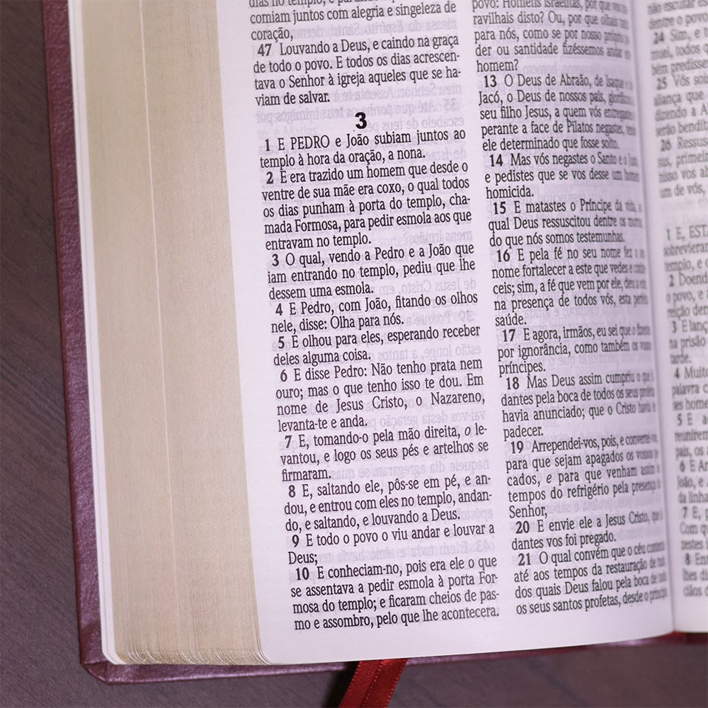 Bíblia Sagrada| ACF | Letra Gigante | Capa Luxo Vinho