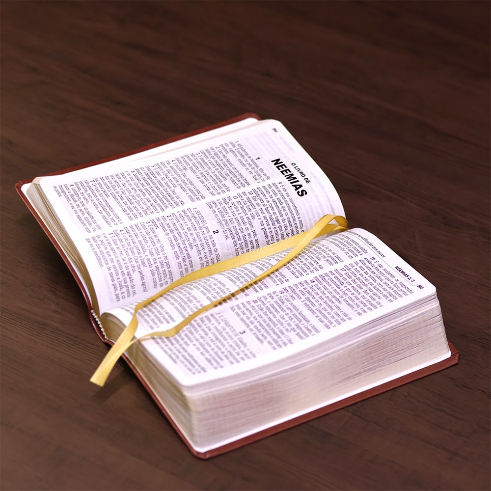 Bíblia Sagrada| ACF | Letra Gigante | Capa Luxo Caramelo