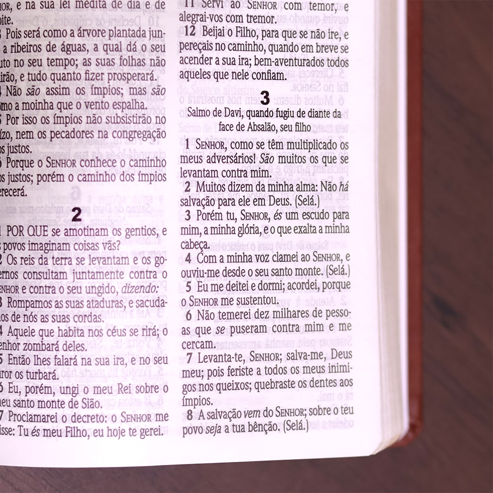 Bíblia Sagrada| ACF | Letra Gigante | Capa Luxo Caramelo