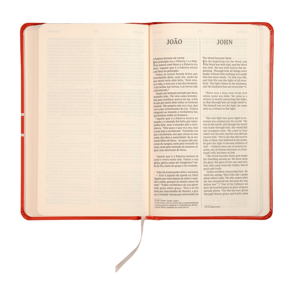 Os Evangelhos |  Bilíngue | NVI | Letra Grande | Capa Dura