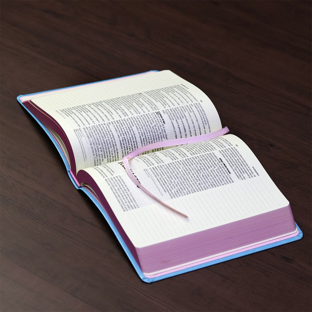 Bíblia Anote | NVI | Letra Normal | Capa Luxo Azul