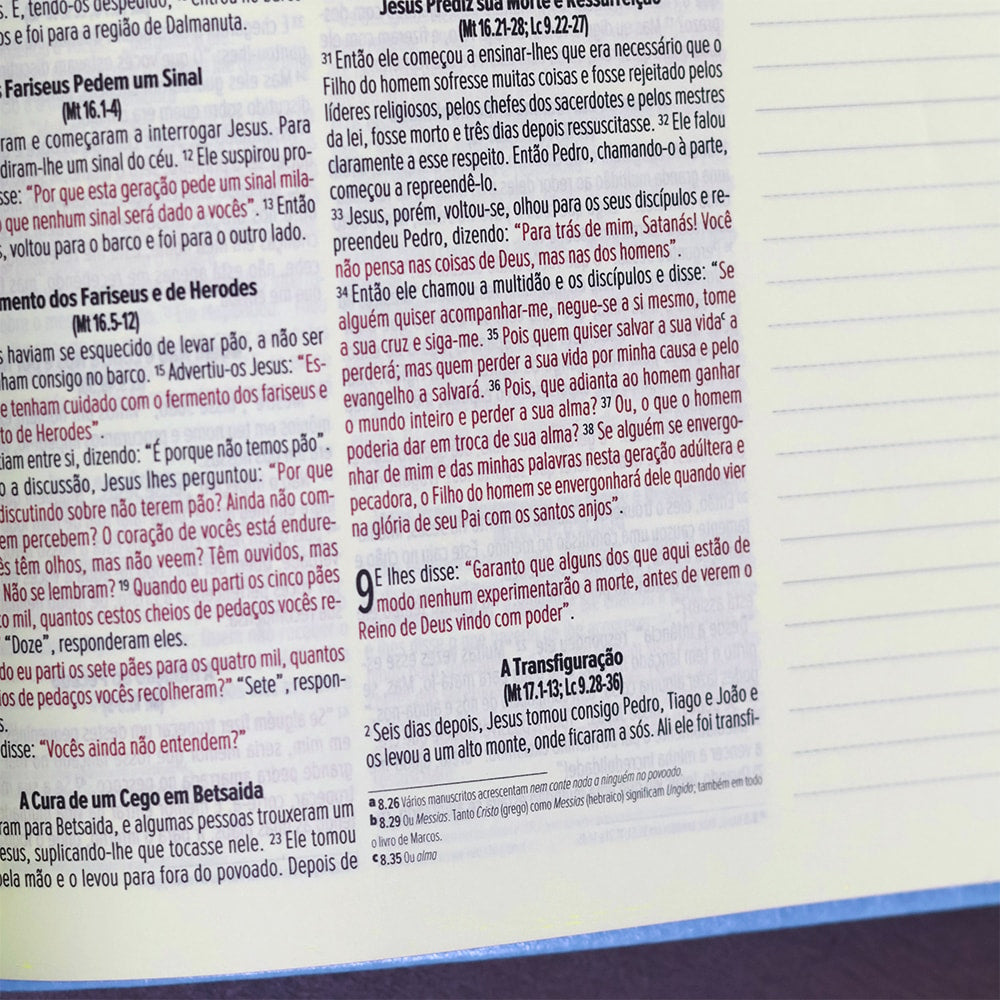 Bíblia Anote | NVI | Letra Normal | Capa Luxo Azul