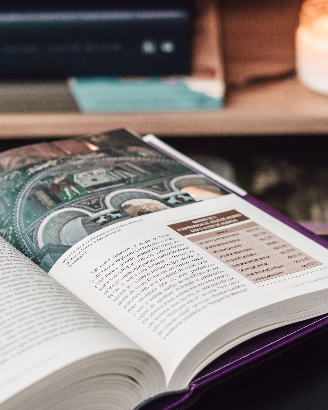 O Novo Testamento Em Seu Mundo | N. T. Wright e Michael F. Bird