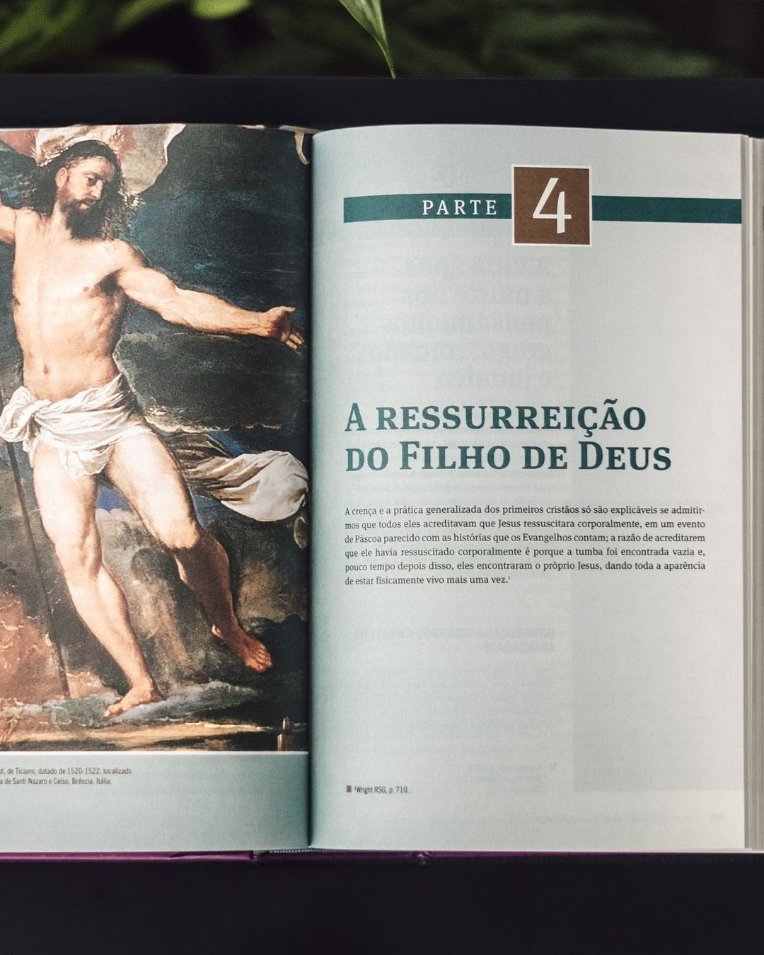 O Novo Testamento Em Seu Mundo | N. T. Wright e Michael F. Bird