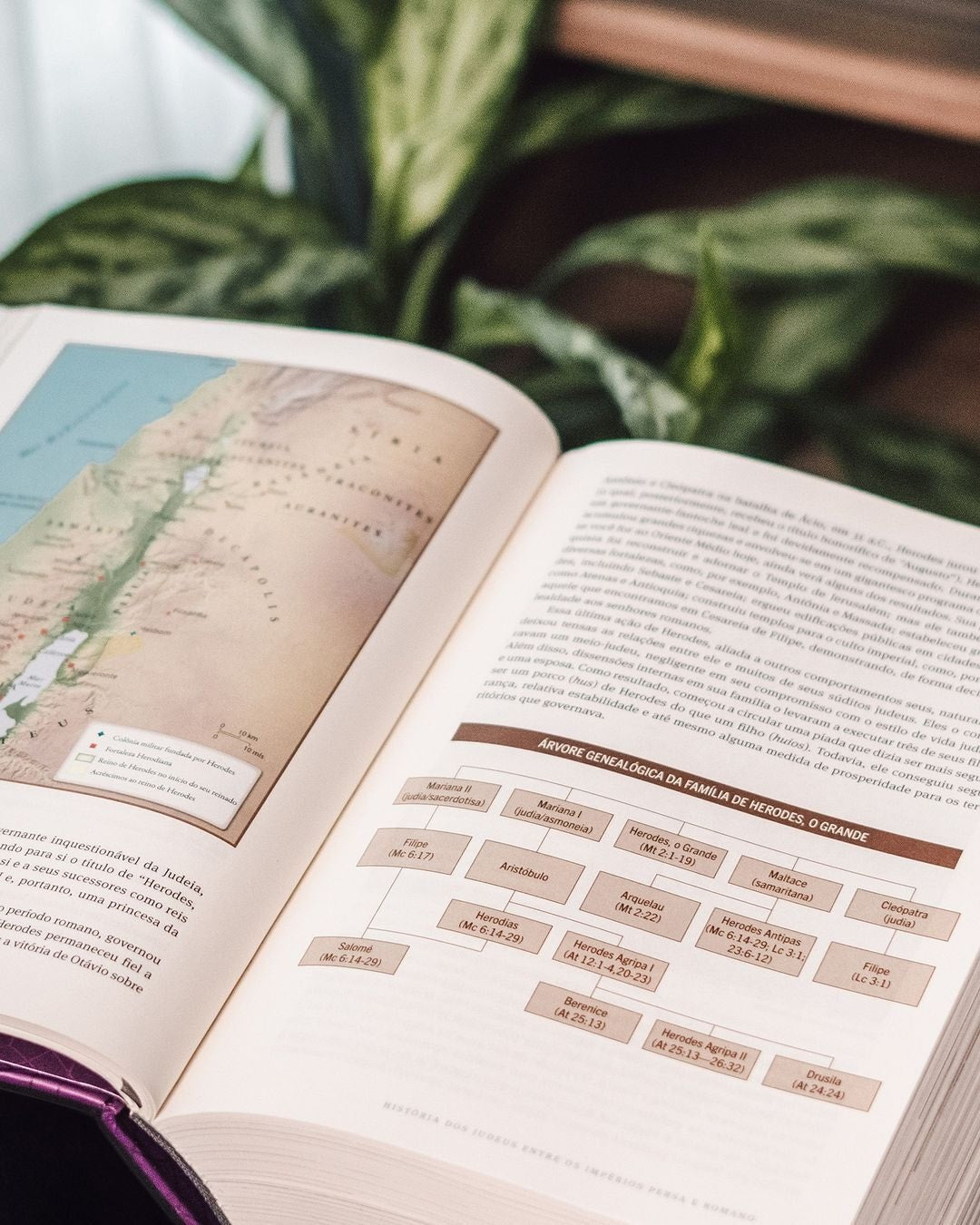 O Novo Testamento Em Seu Mundo | N. T. Wright e Michael F. Bird