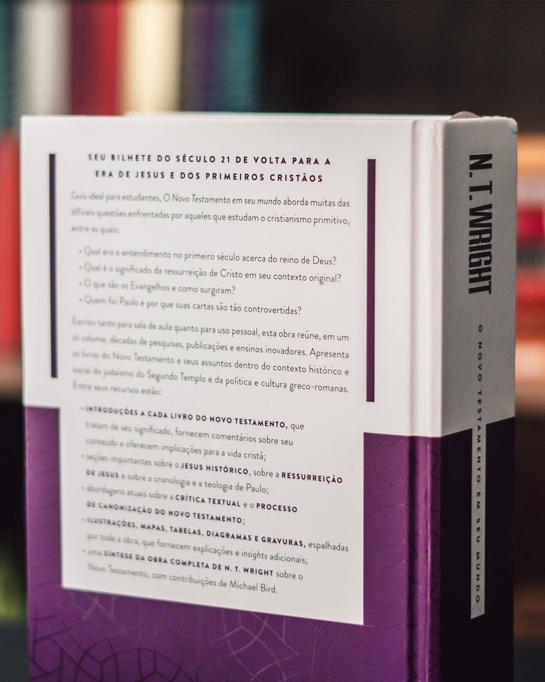 O Novo Testamento Em Seu Mundo | N. T. Wright e Michael F. Bird