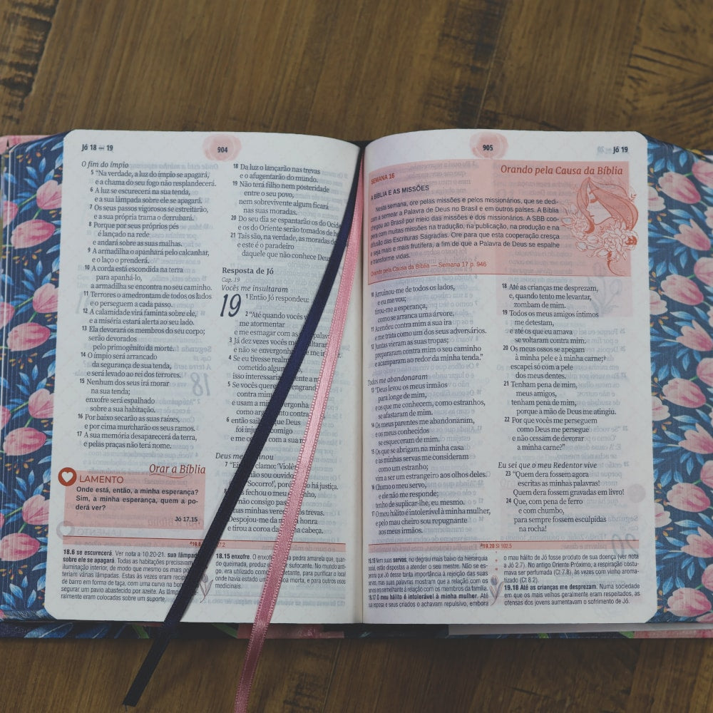 A Bíblia da Mulher | Portátil | NAA | Capa Azul Tulipa