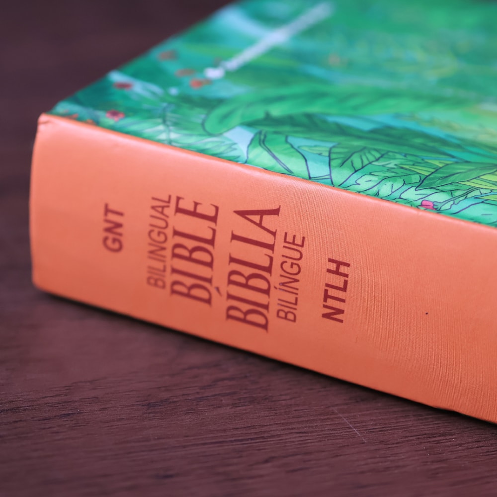 Bíblia Bilíngue | Português e Inglês | Edição Para Jovens | NTLH | Capa Dura Ovelha