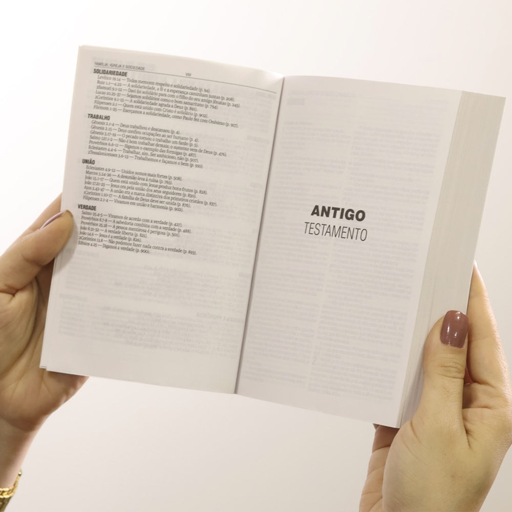 Bíblia Sagrada Semente | NAA | Letra Normal | Capa Brochura