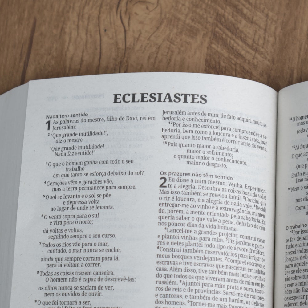 Bíblia Sagrada Salvos Pela Graça Normal  | NVI | Letra Normal | Capa Brochura