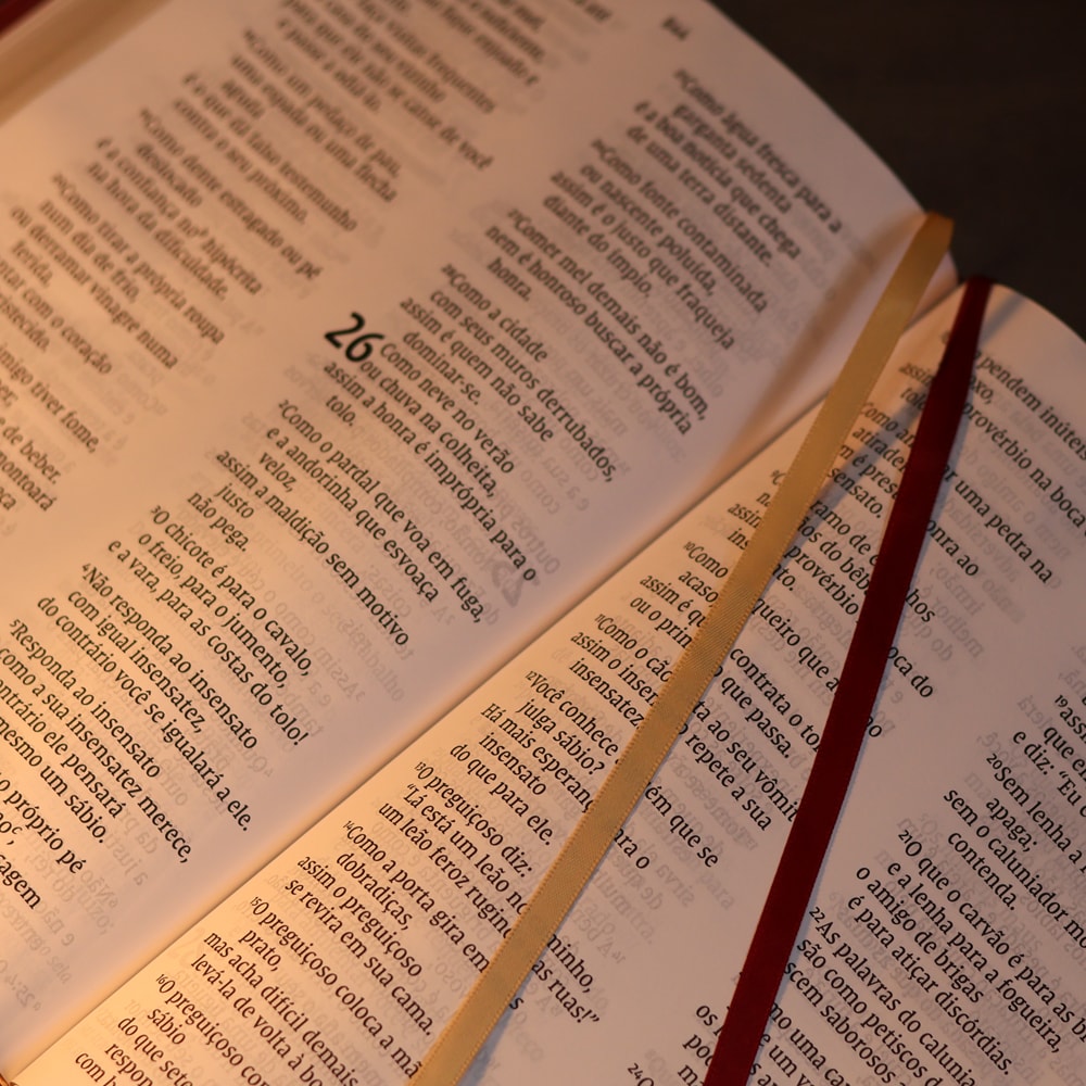 Bíblia Sagrada Leitura Perfeita  | NVI | Letra Gigante | Capa Couro Soft Vinho