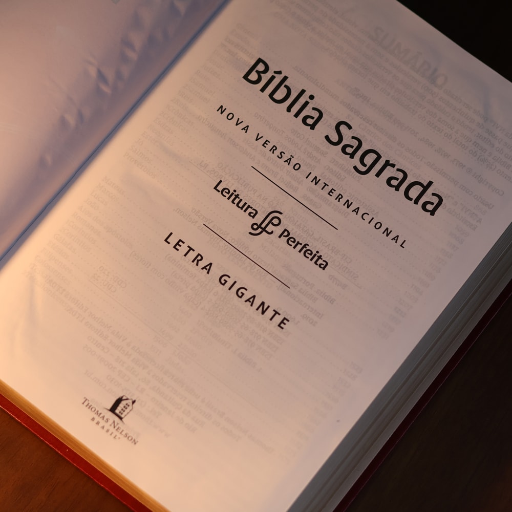 Bíblia Sagrada Leitura Perfeita  | NVI | Letra Gigante | Capa Couro Soft Vinho