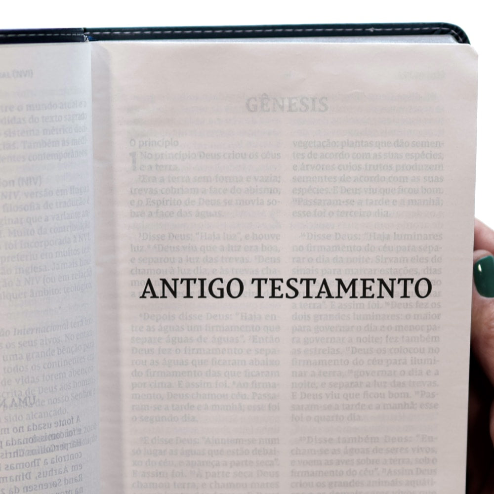 Bíblia Sagrada | NVI | Letra Grande | Leitura Perfeita | Couro Soft Azul