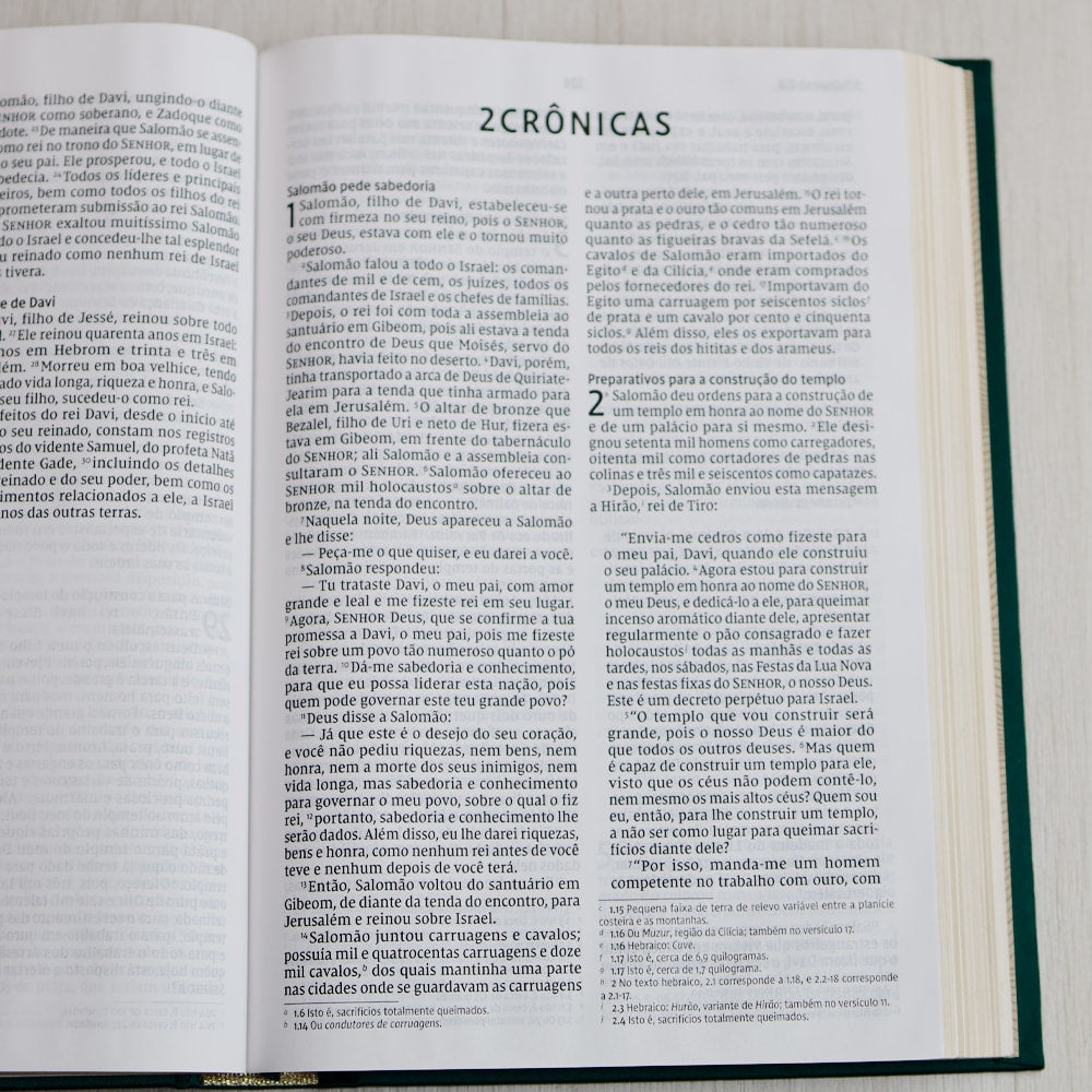 Bíblia Sagrada | NVI | Letra Grande | Capa Dura Tecido | Flor Minimalista