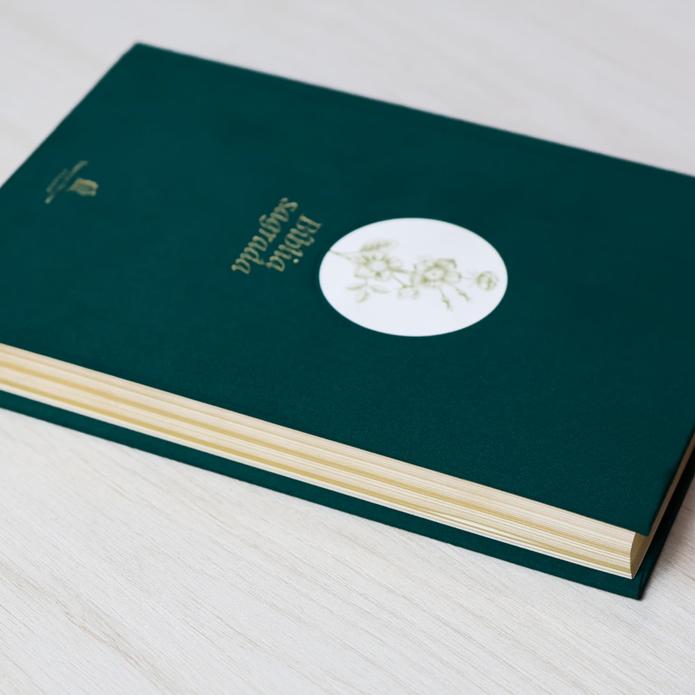 Bíblia Sagrada | NVI | Letra Grande | Capa Dura Tecido | Flor Minimalista