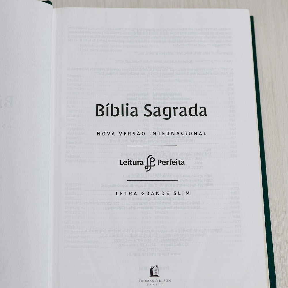 Bíblia Sagrada | NVI | Letra Grande | Capa Dura Tecido | Flor Minimalista