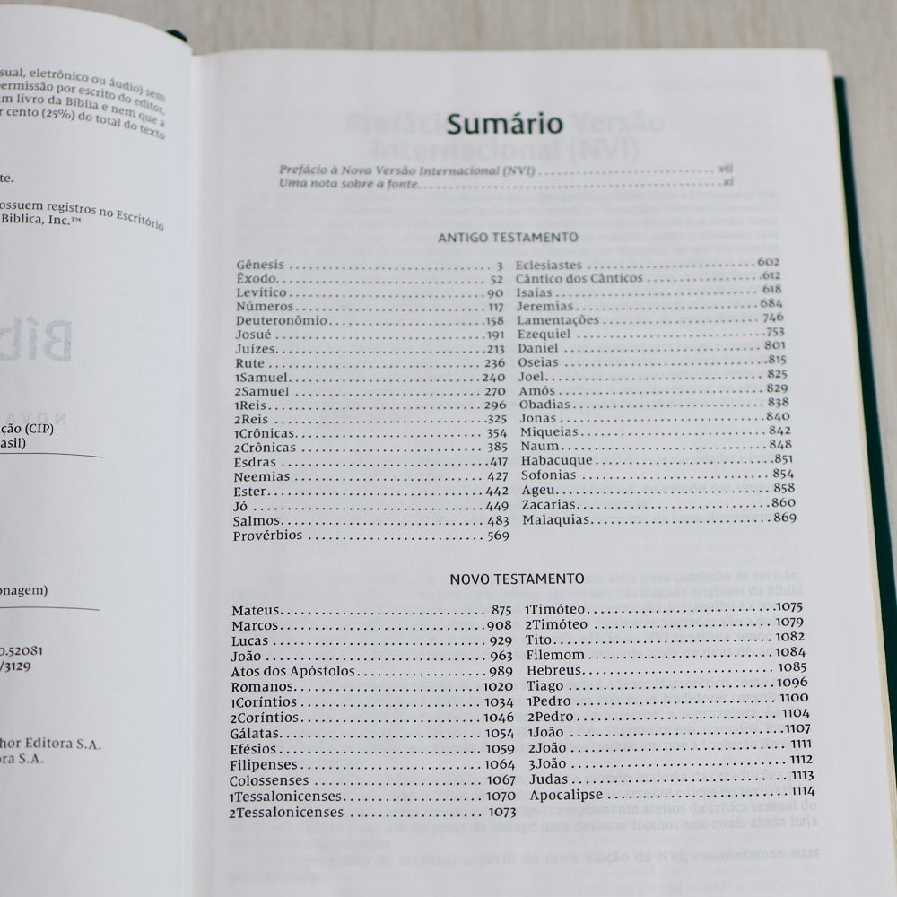 Bíblia Sagrada | NVI | Letra Grande | Capa Dura Tecido | Flor Minimalista
