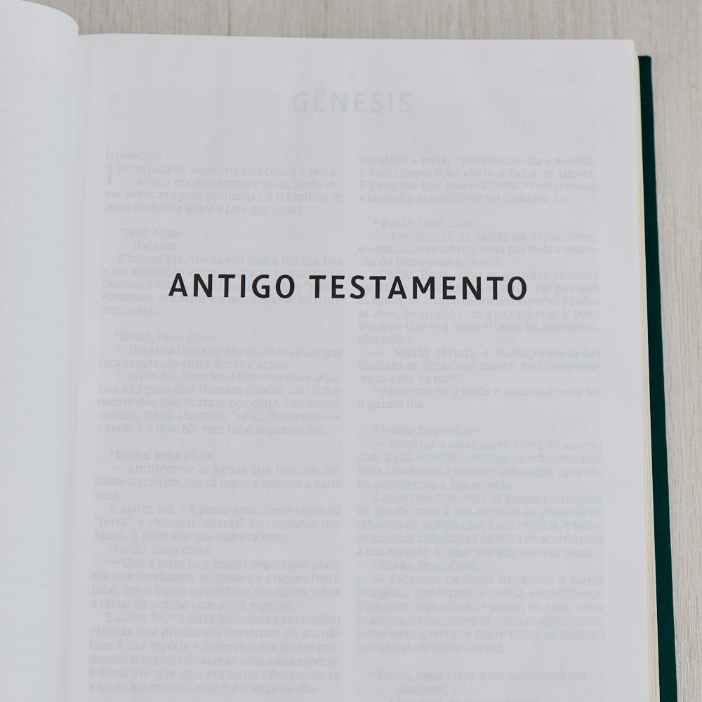 Bíblia Sagrada | NVI | Letra Grande | Capa Dura Tecido | Flor Minimalista