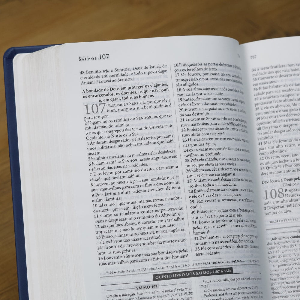 Bíblia de Estudo Explicada | ARC | Letra Média | Luxo Harpa Cristã Azul
