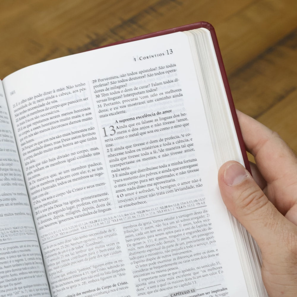Bíblia de Estudo Explicada | ARC | Letra Média | Luxo Harpa Cristã Vinho