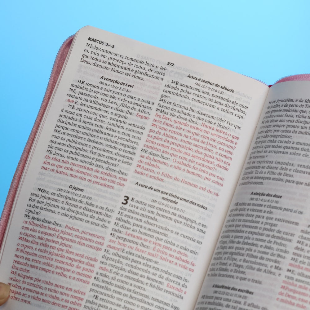 Bíblia Sagrada | ARC | Letra Grande | PJV |  PU Zíper Harpa Cristã Rosa Claro