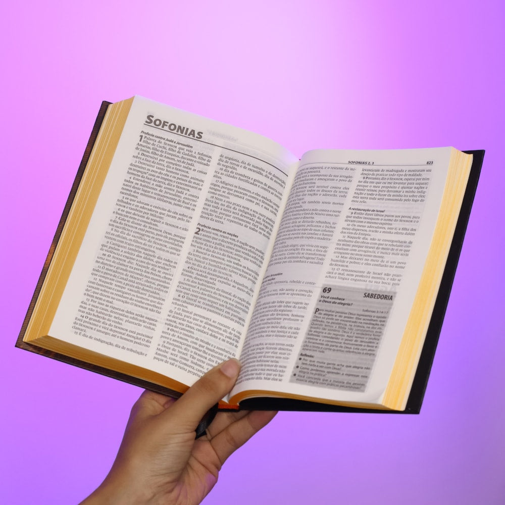 Bíblia de Estudo Esperança | Almeida Século 21 | Letra Normal | Leão