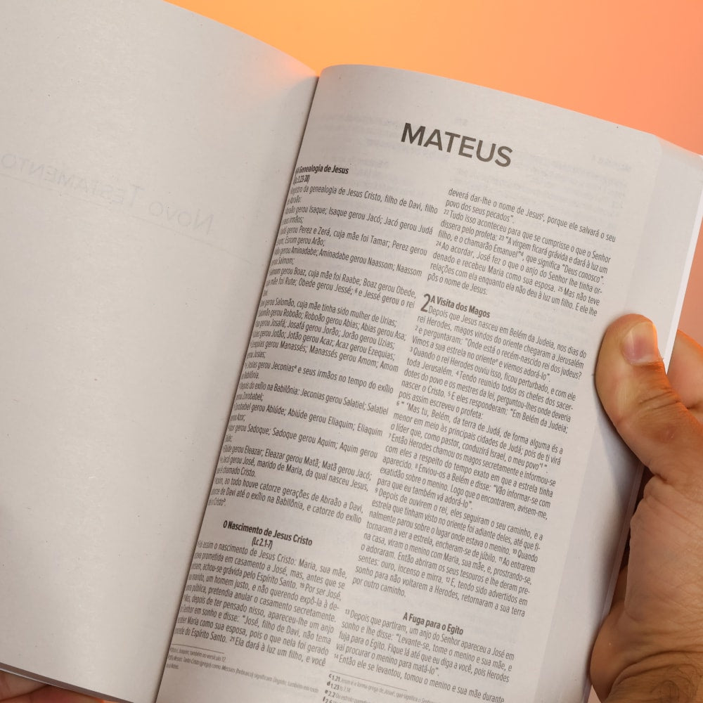 Bíblia Sagrada Ame Ao Senhor | NVI | Letra Normal | Capa Brochura