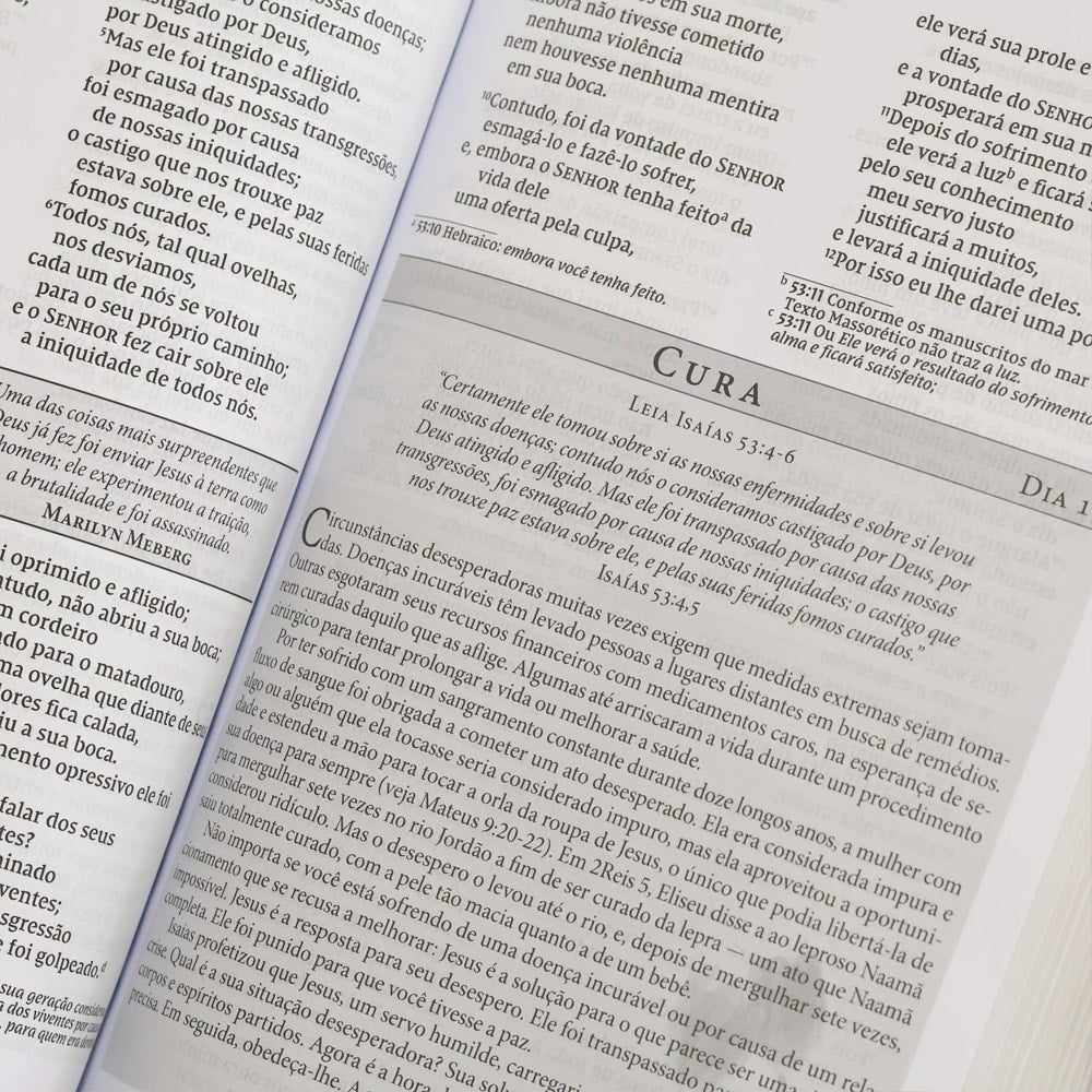 Bíblia da Mulher de Fé | NVI | Letra Grande | Courosoft Vinho Com Fechamento Carteira